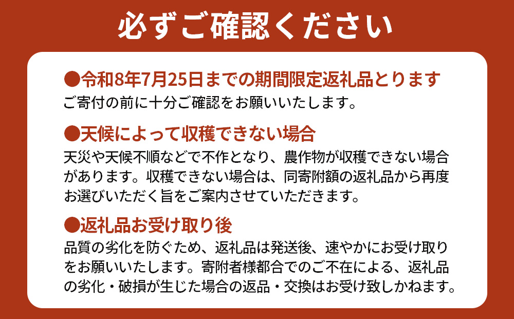 【期間限定】有機メロン「あま玉」1玉 Lサイズ 1.4kg～【R8年7月15日より順次発送】