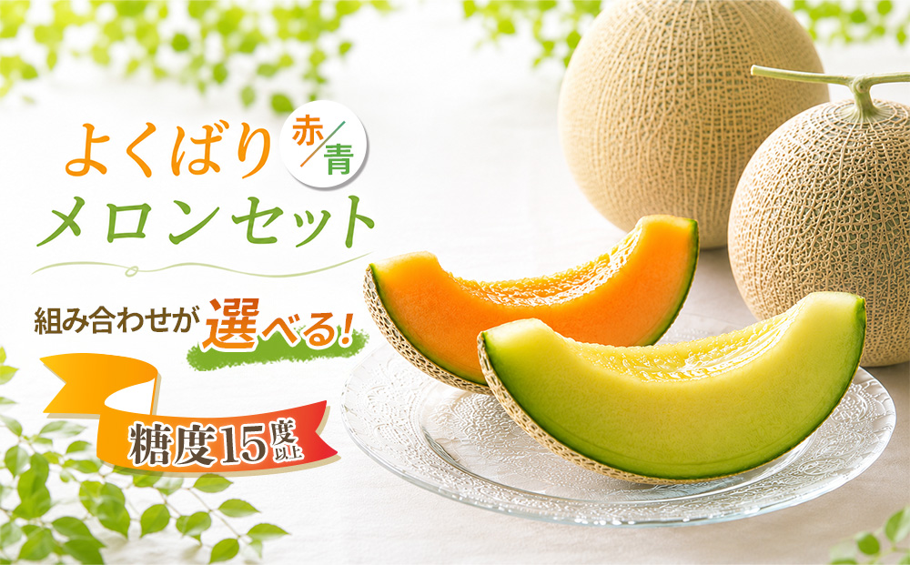 糖度15度以上 !! 宇陀市産 選べる組み合わせ！よくばりメロン 計2玉(選べる青肉・赤肉)＜令和8年産先行予約受付中 / 数量限定＞ ／ みやび農園 メロンセット 選べる 贈答 贈り物 食べ比べ 奈良県 宇陀市