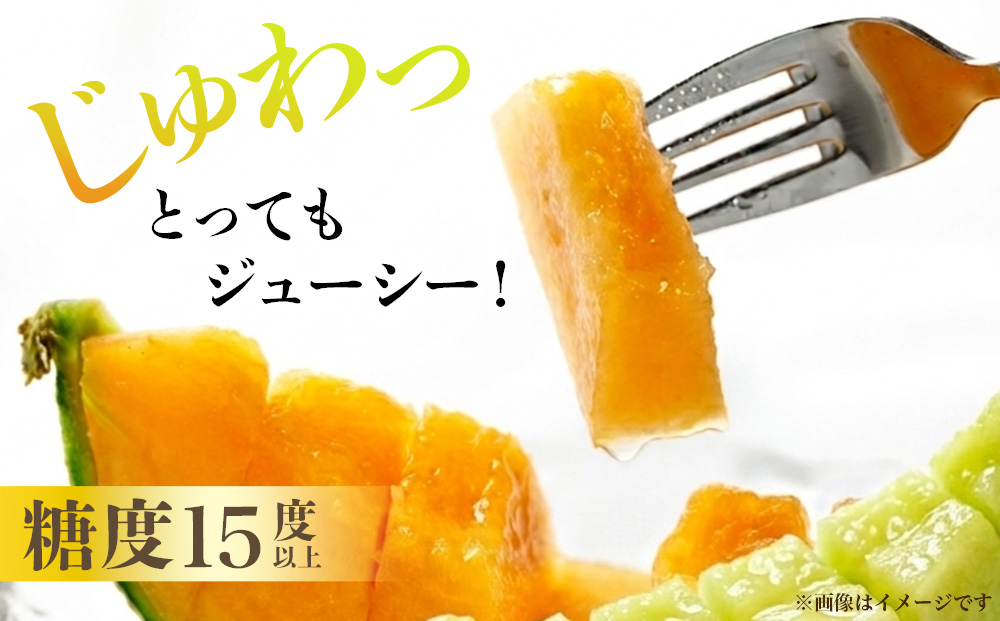 糖度15度以上 !! 宇陀市産 選べる組み合わせ！よくばりメロン 計2玉(選べる青肉・赤肉)＜令和8年産先行予約受付中 / 数量限定＞ ／ みやび農園 メロンセット 選べる 贈答 贈り物 食べ比べ 奈良県 宇陀市