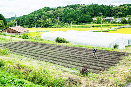 農家の手作りドリンクセット トマト ジュース 化粧箱入(1L×2本)2セット／ リコピン 野菜ジュース 飲料 とまと 贈り物 ギフト 畑工房気まま屋 奈良県 宇陀市 ふるさと納税