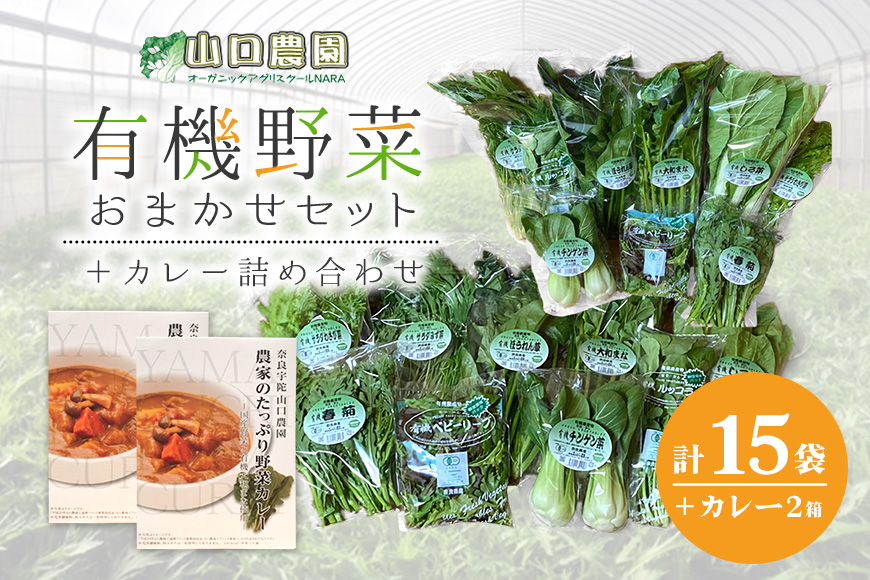 （チルド）山口農園　有機野菜　おまかせセット ＋ カレー２箱　詰合せ / 山口農園 有機野菜 伝統野菜 オーガニック ベジタリアン 定期便 カレー 無農薬 野菜セット 送料無料 無農薬 農家直送 ふるさと納税 詰め合わせ 奈良県 宇陀市 ふるさと納税有機野菜 セット カレー オーガニック チルド 有機野菜 セット カレー オーガニック チルド 有機野菜 セット カレー オーガニック チルド 有機野菜 セット カレー オーガニック チルド 有機野菜 セット カレー オーガニック チルド 有機野菜