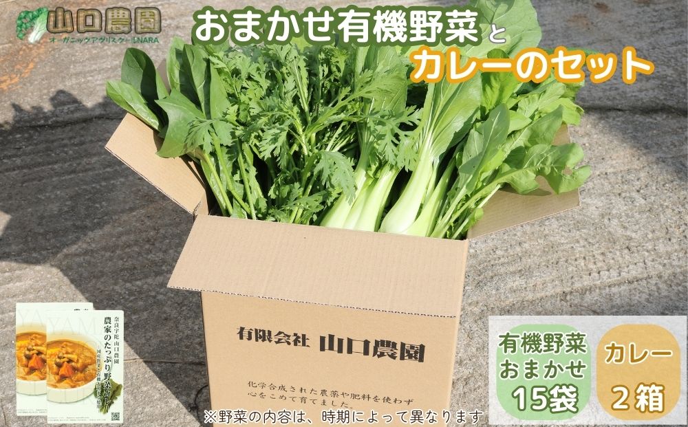 （チルド）山口農園 有機野菜 おまかせセット ＋ カレー２箱 詰合せ / ふるさと納税 山口農園 有機野菜 伝統野菜 オーガニック ベジタリアン 定期便 カレー 無農薬 野菜セット 農家直送  詰め合わせ 奈良県 宇陀市