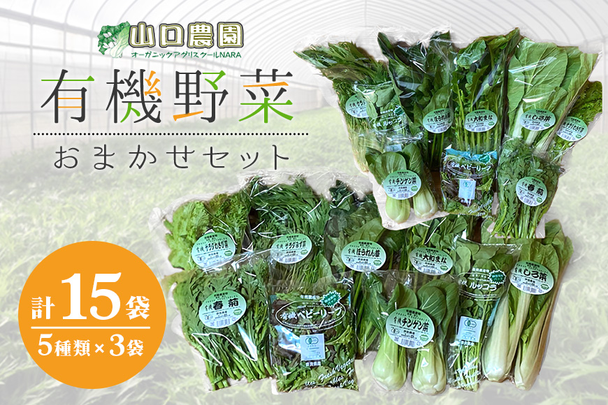 （チルド）　山口農園　有機野菜　おまかせセット ／山口農園 有機野菜 伝統野菜 オーガニック ベジタリアン 無農薬 野菜セット 送料無料 無農薬 農家直送 ふるさと納税 詰め合わせ 奈良県 宇陀市 ふるさと納税 野菜 無農薬 チルド 有機野菜 オーガニック セット チルド 有機野菜 オーガニック セット チルド 有機野菜 オーガニック セット チルド 有機野菜 オーガニック セット チルド 有機野菜 オーガニック セット チルド 有機野菜 オーガニック セット チルド 有機野菜 オーガニック 