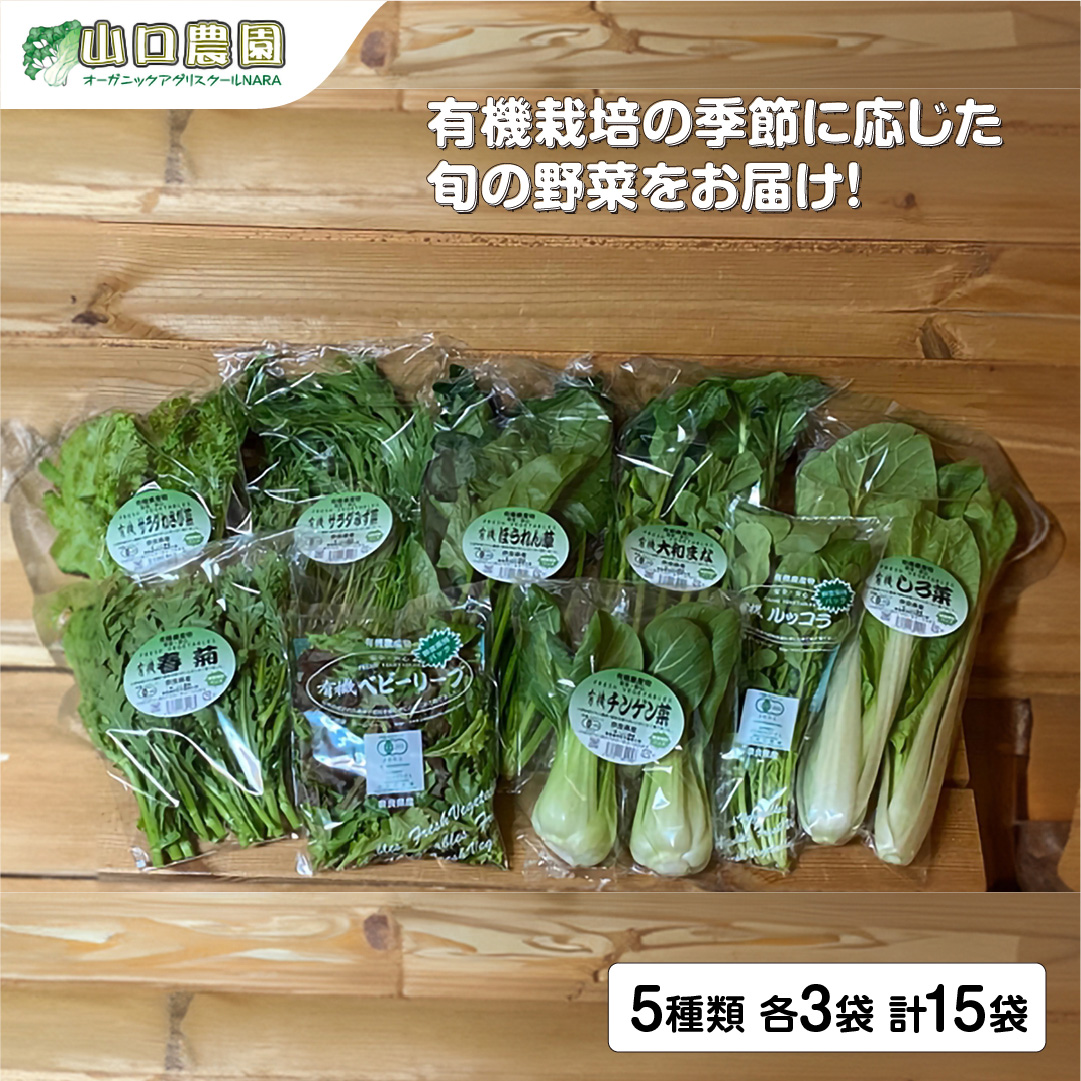 （チルド）　山口農園　有機野菜　おまかせセット ／山口農園 有機野菜 伝統野菜 オーガニック ベジタリアン 無農薬 野菜セット 送料無料 無農薬 農家直送 ふるさと納税 詰め合わせ 奈良県 宇陀市 ふるさと納税 野菜 無農薬 チルド 有機野菜 オーガニック セット チルド 有機野菜 オーガニック セット チルド 有機野菜 オーガニック セット チルド 有機野菜 オーガニック セット チルド 有機野菜 オーガニック セット チルド 有機野菜 オーガニック セット チルド 有機野菜 オーガニック 