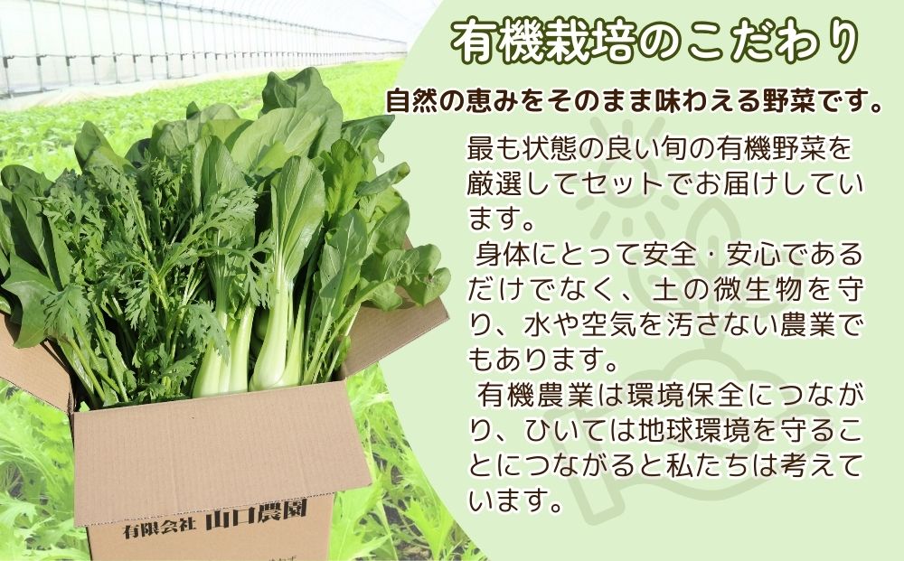 （チルド）山口農園 有機野菜 おまかせセット ／ふるさと納税 山口農園  伝統野菜 オーガニック ベジタリアン 無農薬 野菜セット  農家直送  詰め合わせ 奈良県 宇陀市 
