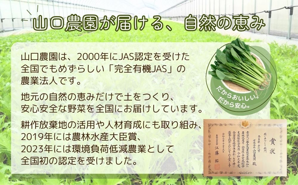 （チルド）山口農園 有機野菜 おまかせセット ／ふるさと納税 山口農園  伝統野菜 オーガニック ベジタリアン 無農薬 野菜セット  農家直送  詰め合わせ 奈良県 宇陀市 