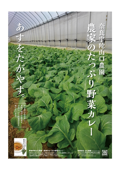 農家のたっぷり野菜カレー　１０個／山口農園 有機野菜 オーガニック 伝統野菜 レトルト 詰め合わせ カレー ギフト カレーセット スパイス 飯 キャンプお取り寄せ 奈良県 宇陀市 送料無料 おかず ご当地 簡単 お歳暮 暑中見舞い 保存 時短 国産 保存食野菜 カレー オーガニック 野菜 カレー オーガニック 野菜 カレー オーガニック 野菜 カレー オーガニック 野菜 カレー オーガニック 野菜 カレー オーガニック 野菜 カレー オーガニック 野菜 カレー オーガニック 野菜 カレー 