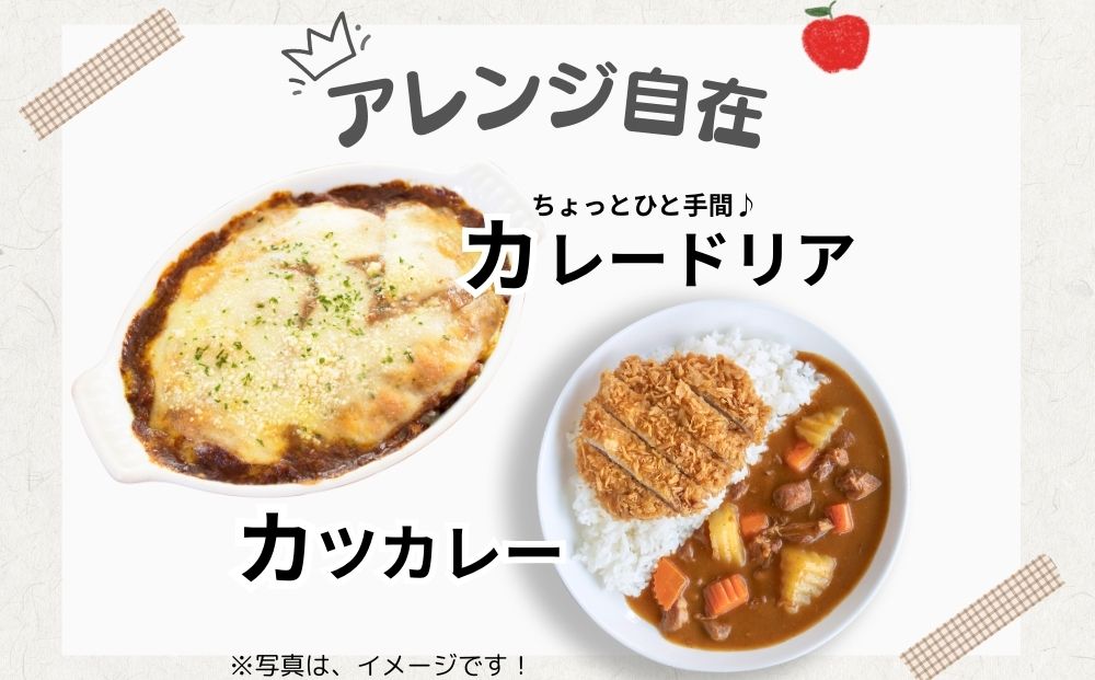 農家のたっぷり野菜カレー 10個／ふるさと納税 レトルトカレー 詰め合わせ ギフト 10食 野菜 ふるさと 有機野菜 オーガニック 飯 簡単 時短 保存食 奈良県 宇陀市 山口農園