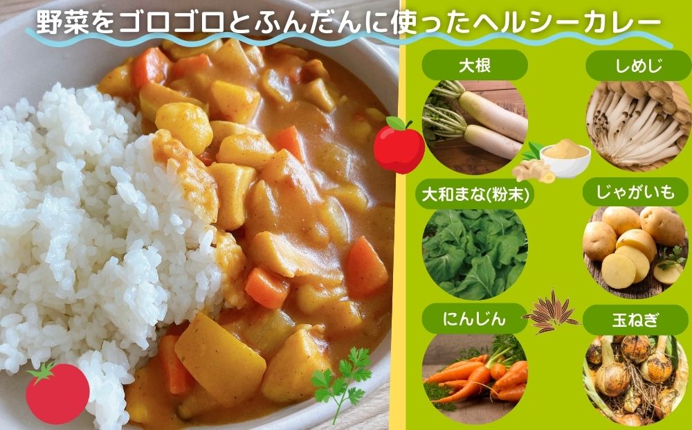 農家のたっぷり野菜カレー ２０個／ふるさと納税 山口農園 有機野菜 オーガニック 伝統野菜 レトルト 詰め合わせ カレー ギフト カレーセット スパイス 飯 キャンプお取り寄せ 奈良県 宇陀市 ご当地 簡単 お歳暮 暑中見舞い 保存 時短 国産 保存食 