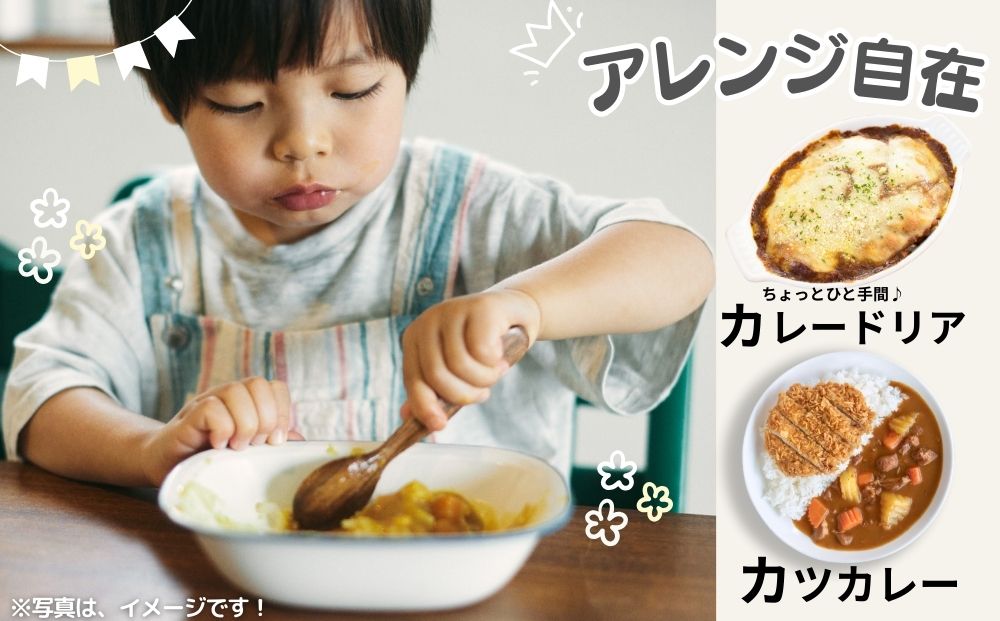 農家のたっぷり野菜カレー ２０個／ふるさと納税 山口農園 有機野菜 オーガニック 伝統野菜 レトルト 詰め合わせ カレー ギフト カレーセット スパイス 飯 キャンプお取り寄せ 奈良県 宇陀市 ご当地 簡単 お歳暮 暑中見舞い 保存 時短 国産 保存食 