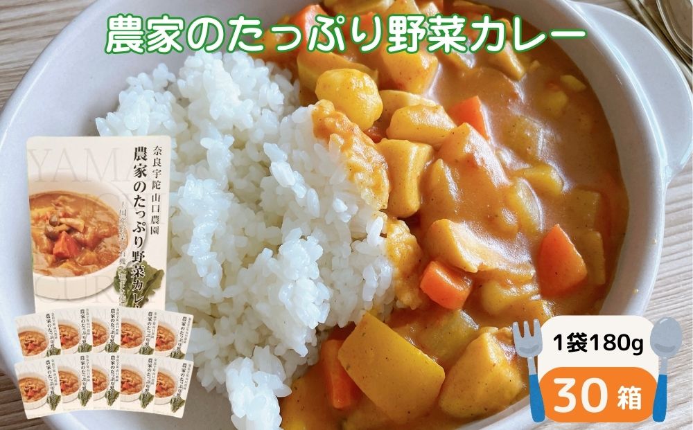 農家のたっぷり野菜カレー ３０個／山口農園 有機野菜 オーガニック 伝統野菜 レトルト 詰め合わせ カレー ギフト カレーセット スパイス 飯 キャンプお取り寄せ 奈良県 宇陀市 送料無料 おかず ご当地 簡単 お歳暮 暑中見舞い 保存 時短 国産 保存食 ふるさと納税
