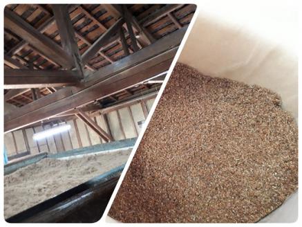 å¥œæ°æ§åŸ®çç©å¿çš å壿¹è¯å€ãªãŒã¯ã³ ïŒå 掻æ§å€ é£äœéå®³å¯Ÿç ææ©JASé©åè³æ å¥è¯ç å®éåž