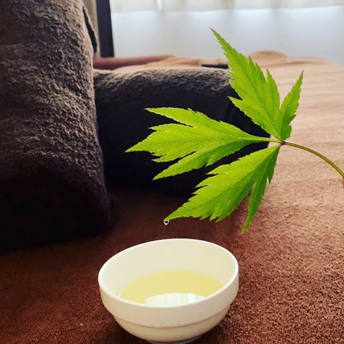 リラクゼーションサロンu.d.a オイルトリートメント 90分 利用券（１名様）