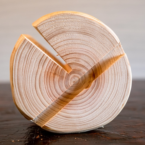 森ã®äžžå€ªã¹ã¿ã³ã ãMIGAKIã ã¹ããã»ã¿ãã¬ããã¹ã¿ã³ãïŒããã磚ã 䞞倪ä»äžã 倩ç¶çŽ æ ã«ããŒç¡ãæšå¥š ãã¬ã¯ãŒã¯ äœççŽ éäŒæ æšè£œ ãããã ãããã MORITO 森åºéæš å¥è¯ç å®éåž éæç¡æ ãµãããšçŽçš