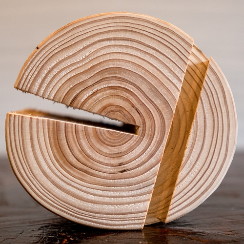 森の丸太スタンド 「SABI」 スマホスタンドとエコバッグセット／ヒノキ 錆丸太 ギフト カバー無し推奨 テレワーク 低炭素 間伐材 侘び寂 丸太仕上げ 天然素材 木製 おしゃれ MORITO 森庄銘木 奈良県 宇陀市 送料無料 ふるさと納税