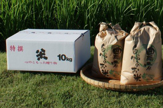 017-004 2024年度産新米 こだわりの有機栽培レンゲ米「ヒノヒカリ」10kg（白米）