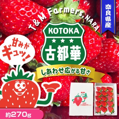 いちご　古都華・ことか 1パック(8〜15粒入り)【配送不可地域：離島・北海道・沖縄県・東北】【1605677】