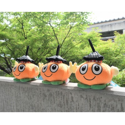 パゴちゃん　ぬいぐるみ【1623634】