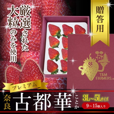 いちご　古都華・ことか　大粒　1パック(9〜15粒入り)【配送不可地域：離島・北海道・沖縄県・東北】【1689690】