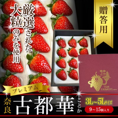 いちご　古都華・ことか　大粒　1パック(9〜15粒入り)【配送不可地域：離島・北海道・沖縄県・東北】【1689690】