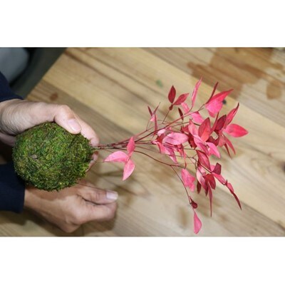 縲仙柱繝「繝繝ウ縲代う繝ウ繝繝ェ繧「縺ォ繝斐ャ繧ソ繝ェ!闍皮脂菴懊j菴馴ィ(2蜷肴ァ伜)縲1206109縲