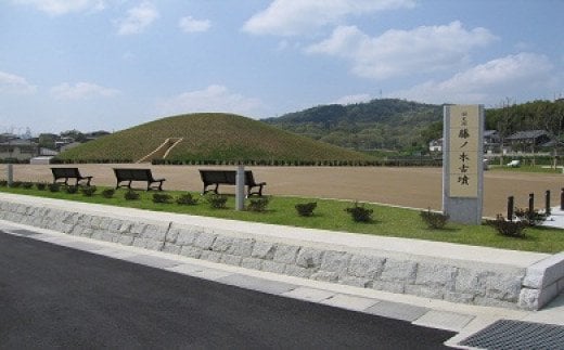 068-001 和空法隆寺　藤ノ木古墳　特別見学付き宿泊券（１泊２食付き/ペア）