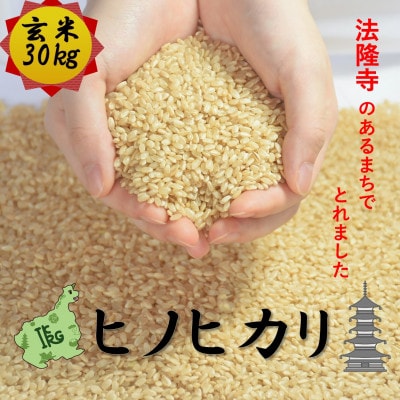 世界遺産「法隆寺」のあるまちで採れた玄米【ヒノヒカリ】30kg  令和7年産【1756419】