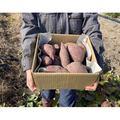 さつまいも(紅はるか) 5kg【1600181】