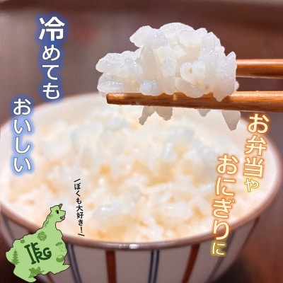 縲先ッ取怦螳壽悄萓ソ縲大・郁憶逵檎肇繝偵ヮ繝偵き繝ェ(逋ス邀ウ)5kg蜈ィ6蝗槭4084808縲