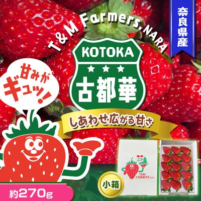 いちご　古都華・ことか 1パック(8〜15粒入り)【配送不可地域：離島・北海道・沖縄県・東北】【1605677】