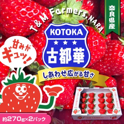 いちご　古都華・ことか2パック(8〜15粒入り/1pc)【配送不可地域：離島・北海道・沖縄県・東北】【1685936】