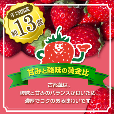 ãã¡ããå€éœè¯ã»ããšã2ããã¯(8ã15ç²å
¥ã/1pc)ãé
éäžå¯å°åïŒé¢å³¶ã»åæµ·éã»æ²çžçã»æ±åãã1685936ã