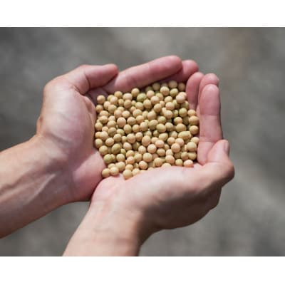 創業明治33年ニシキ醤油の定番!にっぽん丸大豆しょうゆ720ml　6本セット【1749504】
