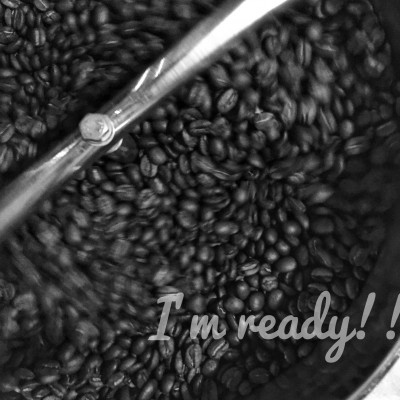 発送当日珈琲豆焙煎!スペシャルティ珈琲豆200g×2種類(豆)【1604203】