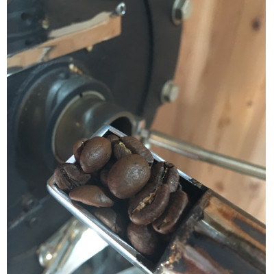 発送当日珈琲豆焙煎!スペシャルティ珈琲豆200g×2種類(豆)【1604203】