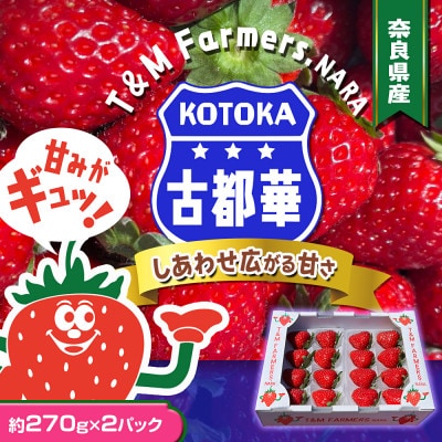 いちご　古都華・ことか2パック(8〜15粒入り/1pc)【配送不可地域：離島・北海道・沖縄県・東北】【1685936】