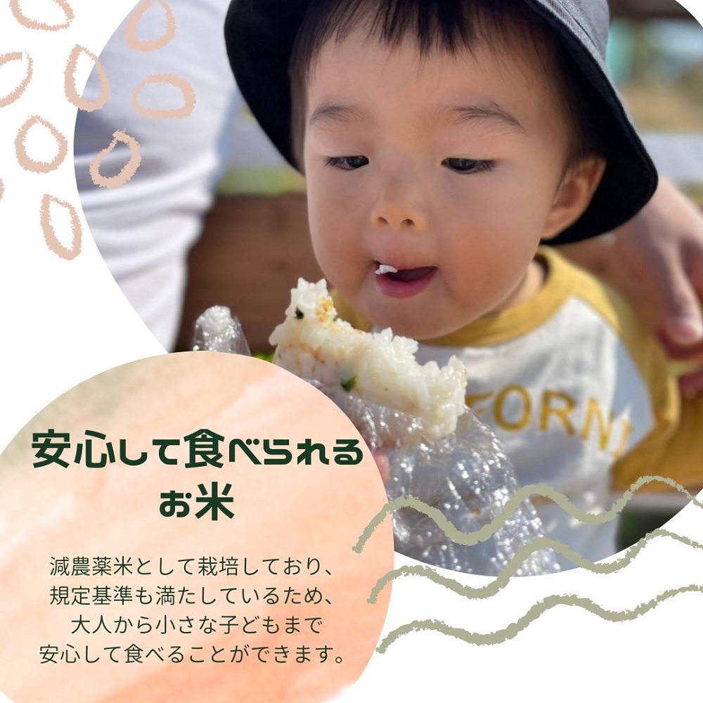 特別栽培米 減農薬 畑中さん ひのひかり 白米10kg ヒノヒカリ 奈良県 三宅町