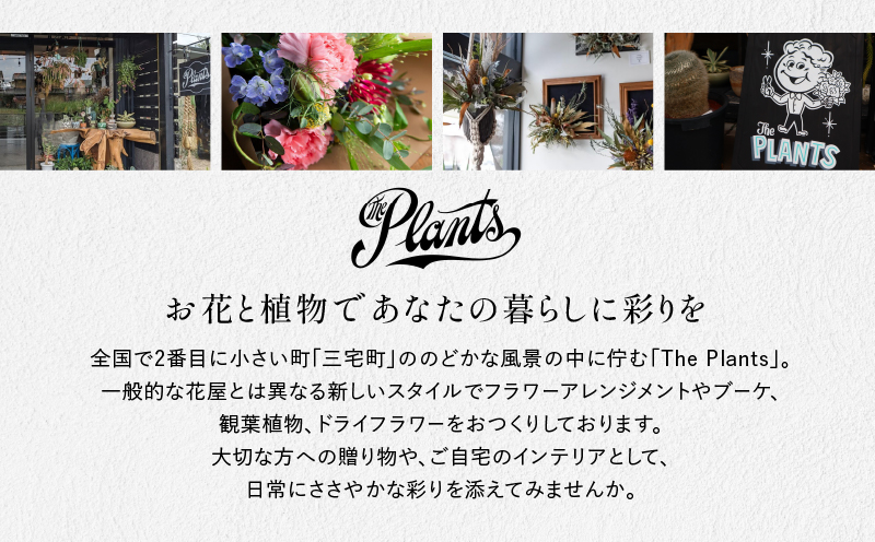 The Plants 繧ケ繝ッ繝繧ーシ医ラ繝ゥ繧、繝輔Λ繝ッ繝シシ芽干 豈阪ョ譌・ 辷カ縺ョ譌・ 繧ョ繝輔ヨ 繝励Ξ繧シ繝ウ繝