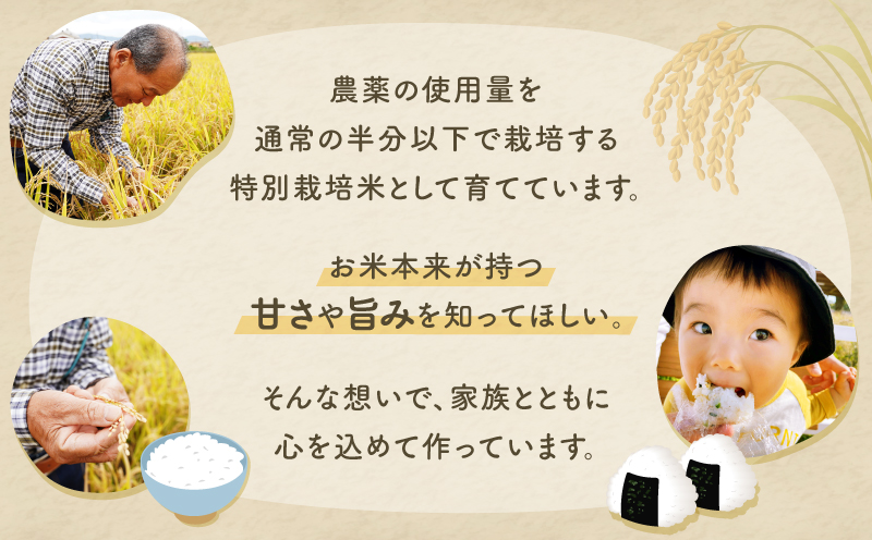  【6回定期便】減農薬 特別栽培米 畑中さん ひのひかり 玄米 5kg ヒノヒカリ 奈良県