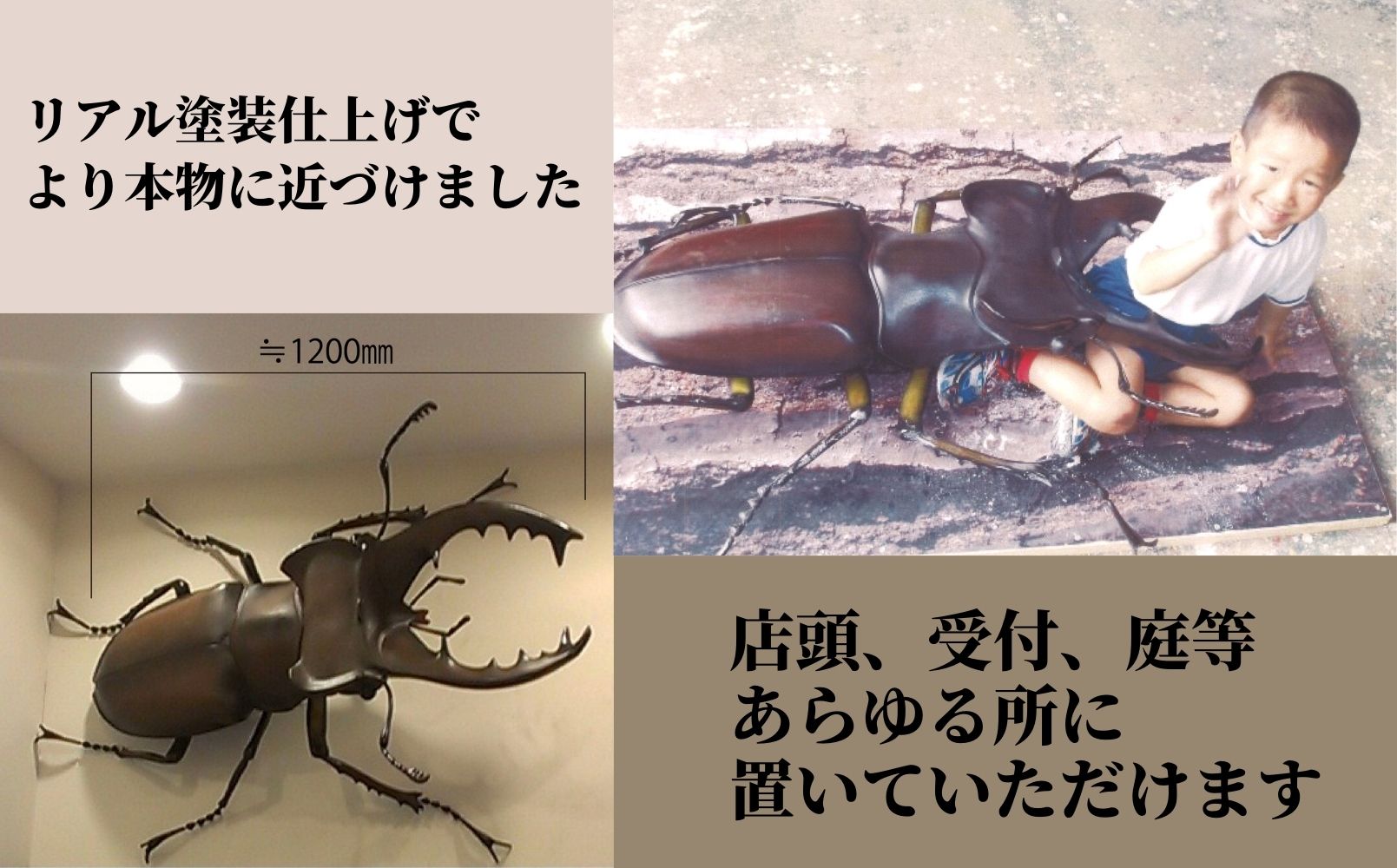 ミヤマ クワガタ 大型 リアル 模型 クワガタ 昆虫 おもちゃ 飾り（透明ケース付）奈良県 三宅町 プロアート