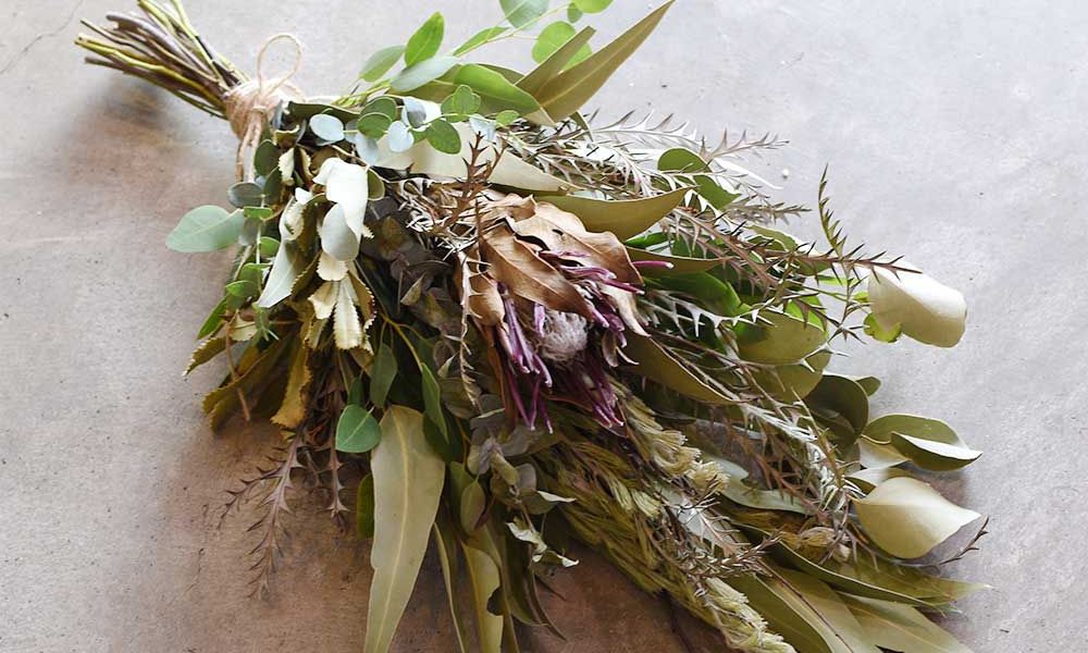 The Plants 繧ケ繝ッ繝繧ーシ医ラ繝ゥ繧、繝輔Λ繝ッ繝シシ芽干 豈阪ョ譌・ 辷カ縺ョ譌・ 繧ョ繝輔ヨ 繝励Ξ繧シ繝ウ繝