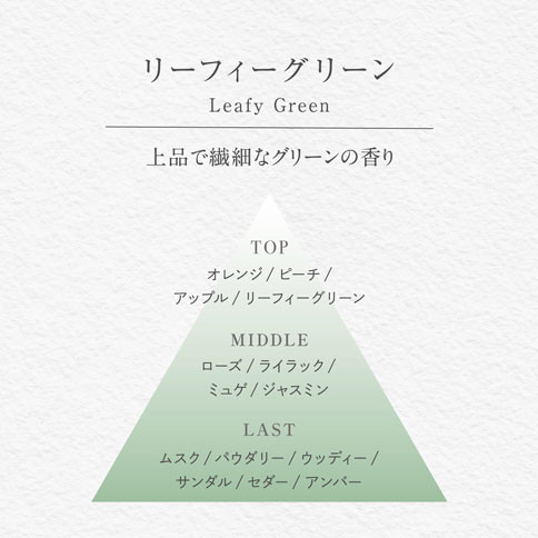バーグ １００ リード ディフューザー リーフィーグリーン 晴香堂 HARUKADO VAGE  ルームフレグランス 芳香剤 インテリア アロマ 香り リビング 玄関 ベッドルーム 車 プレゼント ギフト