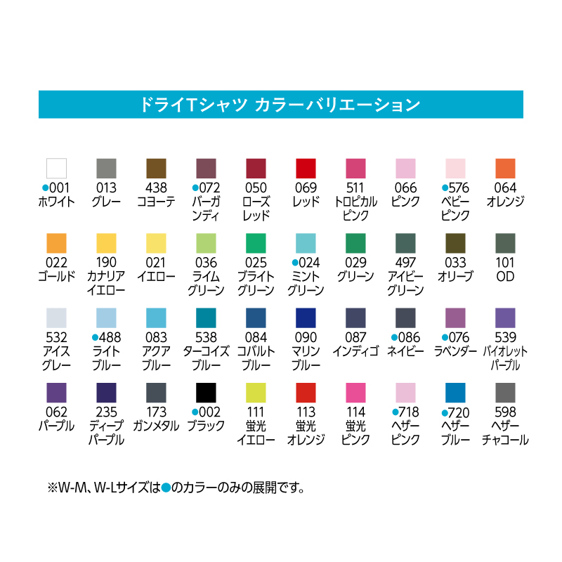 DTF 転写 プリント オリジナル オーダー ドライＴシャツ メンズ レディース イラスト：5枚