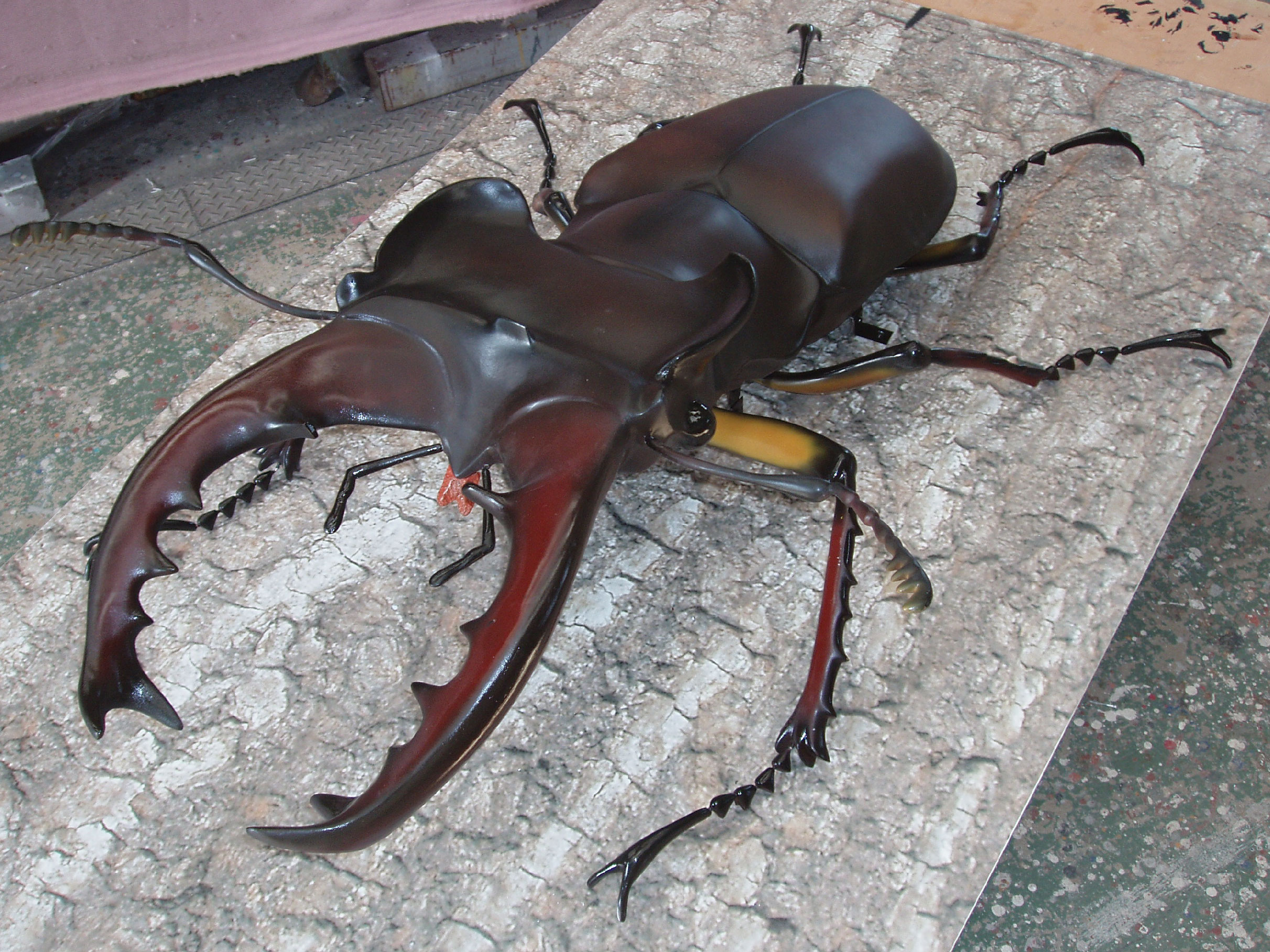 ミヤマ クワガタ 大型 リアル 模型 クワガタ 昆虫 おもちゃ 飾り（透明ケース付）奈良県 三宅町 プロアート