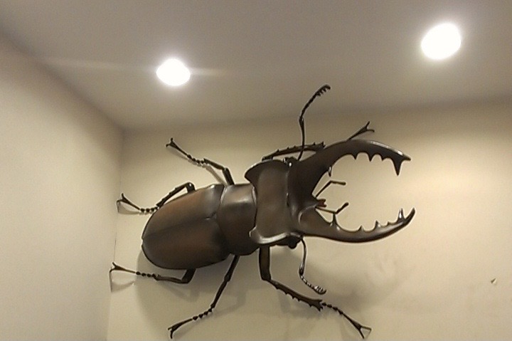 ミヤマ クワガタ 大型 リアル 模型 クワガタ 昆虫 おもちゃ 飾り（透明ケース付）奈良県 三宅町 プロアート