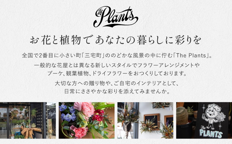 花 ふるさと定期便 3回 お届け 三宅町に住む家族へ 花束 ギフト The Plants:スタンダード