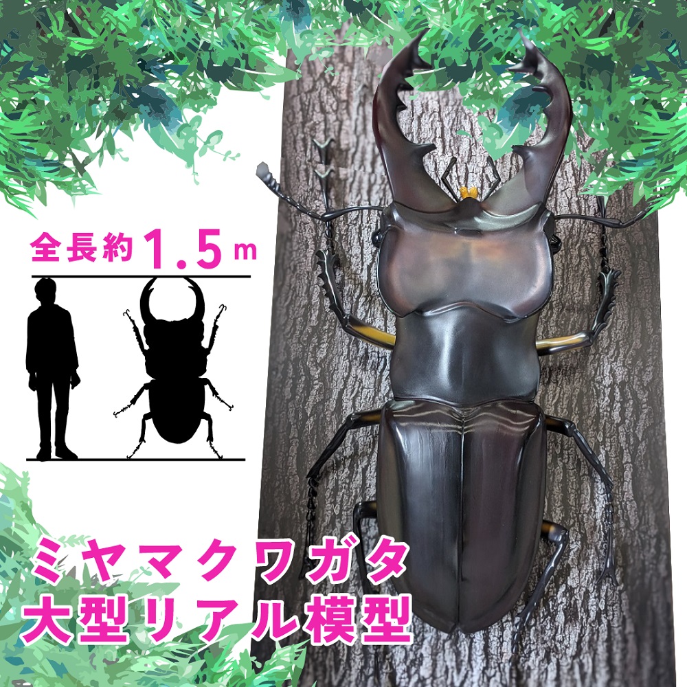 ミヤマ クワガタ 大型 リアル 模型 クワガタ 昆虫 おもちゃ 飾り（透明ケース付）奈良県 三宅町 プロアート