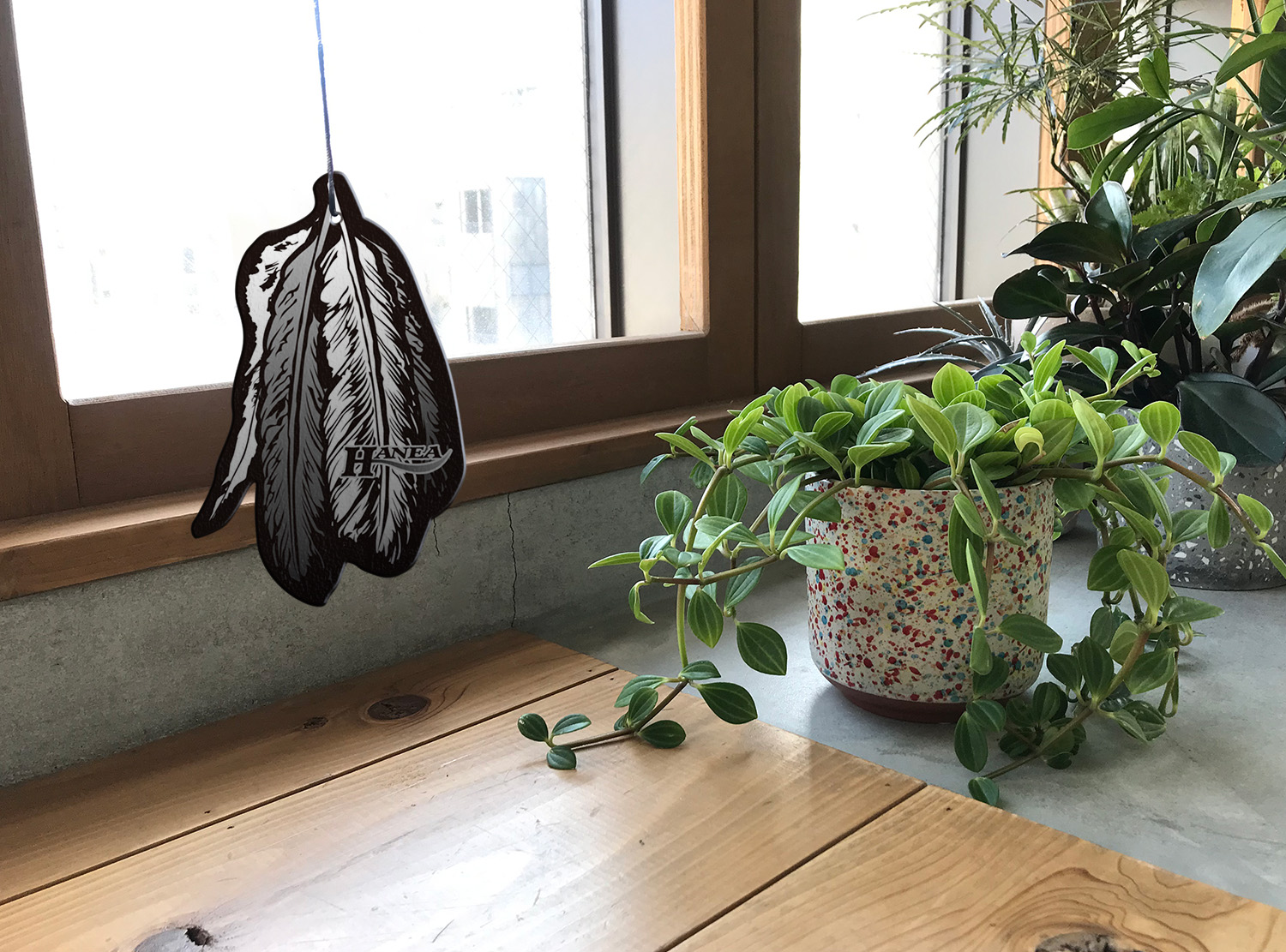 ãã㢠ïŒåãã㯠ãã¯ã€ãã ã¹ã¯ æŽéŠå HARUKADO