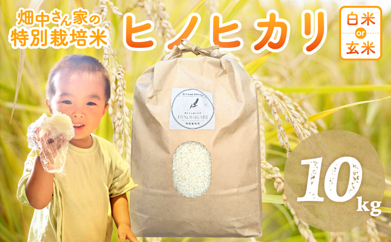 特別栽培米 減農薬 畑中さん ひのひかり 玄米10kg ヒノヒカリ 奈良県 三宅町