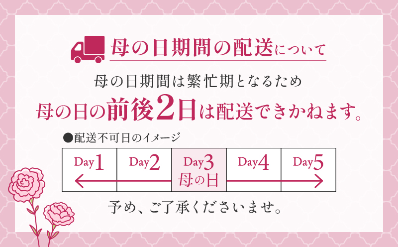 The Plants 闃ア譚 縺翫∪縺九○ 逕溯干 繧ョ繝輔ヨ 繝輔Λ繝ッ繝シ 蜀キ阡オ 繧「繝ャ繝ウ繧ク繝。繝ウ繝 豈阪ョ譌・ 辷カ縺ョ譌・ 隱慕函譌・ 縺顔・昴> 險伜ソオ譌・
